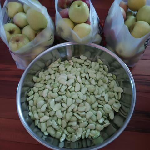 Three pecks of apples and a basket of shelled pole beans also known as Lima beans!