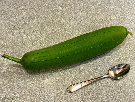 A green cucumber-look-a-like fruit on the gray counter next to a teaspoon. It’s a bit longer than American cucumbers and a bit thicker than English ones.