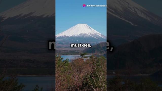Top 5 BEST Places to Visit in Japan 2024