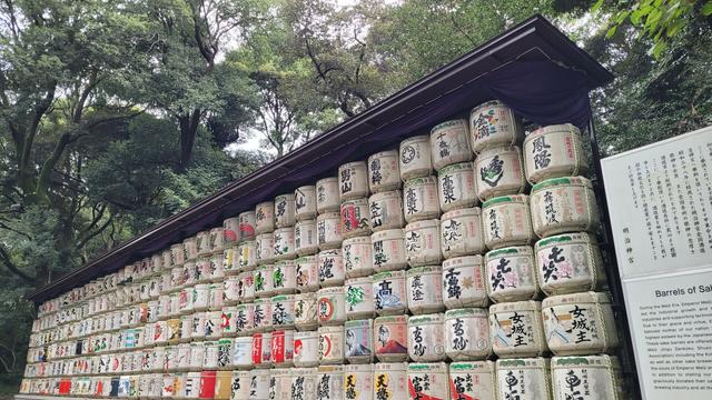 a wall of barrels of sake