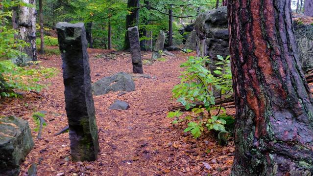 Wanderweg im Wald mit Sandsteinsäulen.