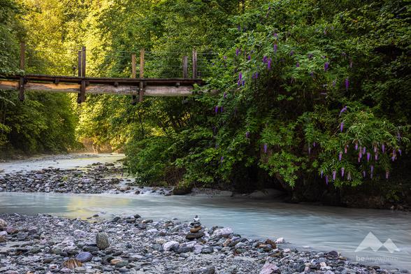 Wooden bridge over a small river in a very green valley.