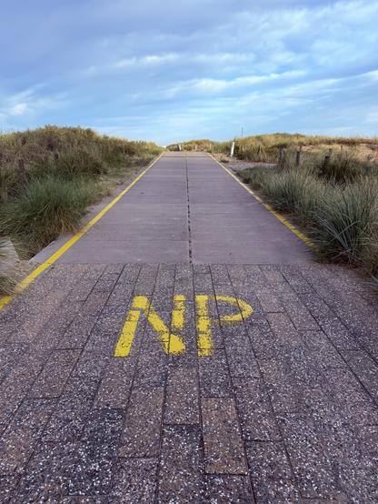 A footpath with a big label “NP”. The joke is about the P=NP theory in computer science