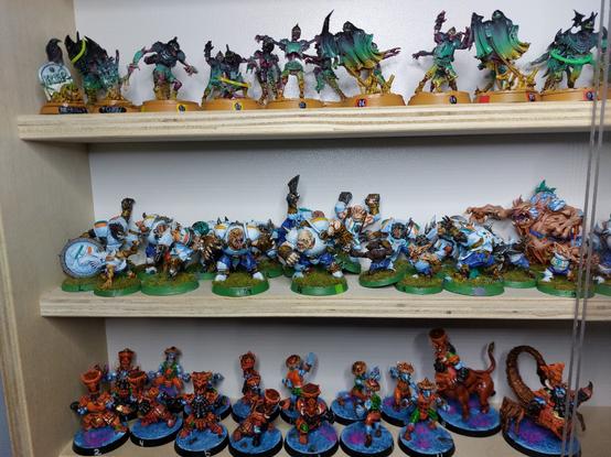 Display shelf with several blood bowl teams