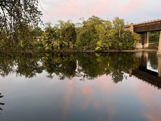 A calm river reflects perfectly a row of green, leafy trees and a pink/blue sky.