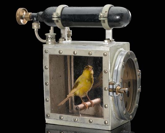 A picture of one of those glass and metal boxes that were used in coal mines to hold canaries to see if they would die, warning miners that noxious gases were accumulated in a given place.