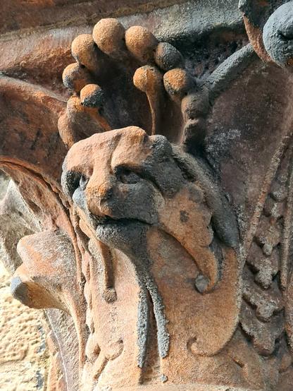 A cute creature carved into the column capital of a Victorian building.