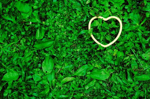 Top-down photo of greenery with a yellow neon heart lying on it in the top right hand side of the image.