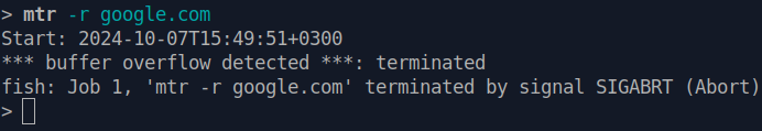 *** buffer overflow detected ***: terminated