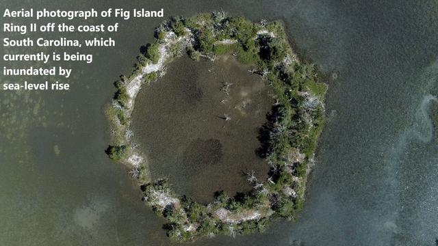 aerial image #2 - Fig Island, South Carolina