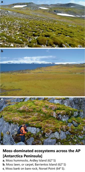 photos - Moss-dominated ecosystems across the Antarctic Peninsula