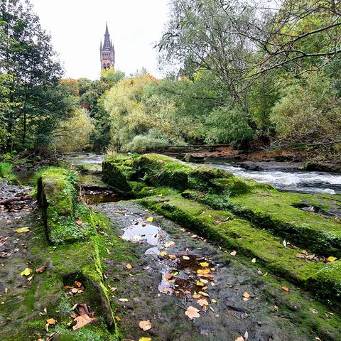 The remaina of a 19th Century weir which was once part of a mill complex.