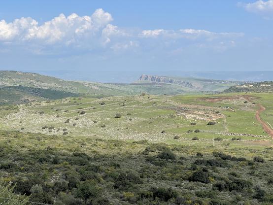 Landscape of Palestine during Spring, lush sunny hills, blue cloudy sky.