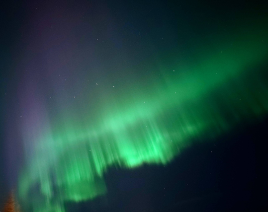 A sky filled with northern lights. A bright green curtain of lights going from bottom left to top right, with a foggy pink purple band in the top left.
The top of orange glowing trees can be seen in the bottom left.