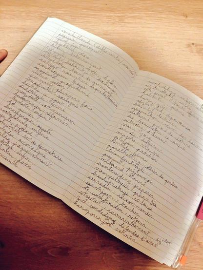 Picture on the same wooden floor of a notebook with Dutch words and their English/French translation