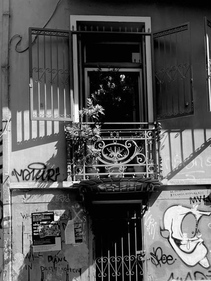 A balcony window in a neoclassical building above a door. The doorway has a simple metal barred door on it, with a touch of scrollwork, and is topped with an awning, the kind made of long rounded panes the way a cloth awning might be. The balcony is made of elaborately scrolled cast iron, an oval central panel with stylised leaves and decorative work around it. There are several pots of plants. The window has ironwork security shutters too, now open, of simpler scrollwork, casting their shadows on the plaster walls. The building looks a bit run down, with graffiti in the lower right hand corner of the image, but is clearly inhabited and cared for.