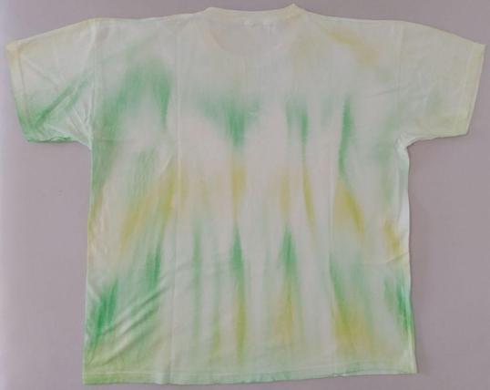 Selbes T-Shirt nur von hinten.