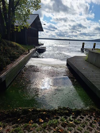Foto Müggelsee Berlin, Berlin-Friedrichshagen, Standort Leibniz-Institut für Gewässerökologie und
Binnenfischerei (IGB) im
Forschungsverbund Berlin e.V., Müggelseedamm 310 am 09.10.2024. Foto von Jana Rumler
