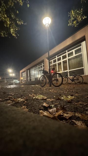 Eine spärlich beleuchtete Szene bei Nacht mit zwei Fahrrädern auf einem Weg, der mit gefallenen Blättern bedeckt ist. Im Hintergrund ist ein Gebäude mit großen Fenstern zu sehen, beleuchtet von nahe gelegenen Straßenlaternen. Die Atmosphäre ist ruhig und friedlich.