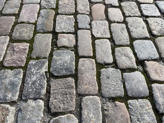 A close-up of an uneven cobblestone surface, featuring a mix of gray and pink stones, with patches of green moss and dirt in between.