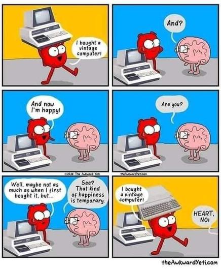 Webcomic about buying vintage computers.