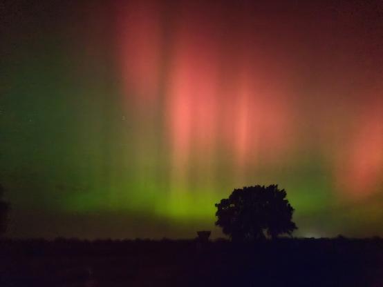 Ein Foto vom nächtlichen Himmel. Unten ist dunkel der Boden zu erkennen. Etwas außerhalb der Mitte steht ein Baum. Darüber sind grüne und rote helle Lichter zu erknenn.
