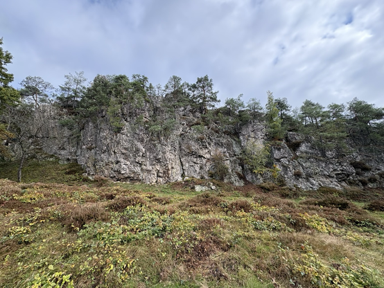 A ridge of quarz rocks near Viechtach