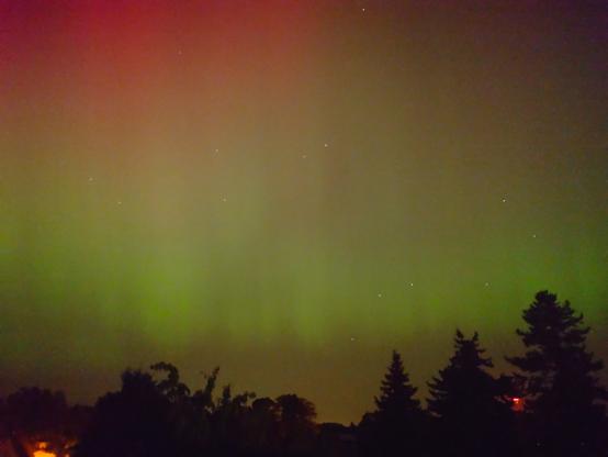 Above the silhouette of s tree like a large field of diffuse polar light in green colours with indications of vertical structures, blending into red higher up.