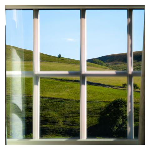 Square color image with a white frame, showing a view through a window. Very little of the window's white frame is visible. The window has one horizontal and three vertical mullions. The view extends over a green, rolling sheep-grazing landscape. A single, small tree stands on the hillside just above the center of the image on the left. To the lower right, not far from the window, there is a larger deciduous tree that occupies only the corner of the image.