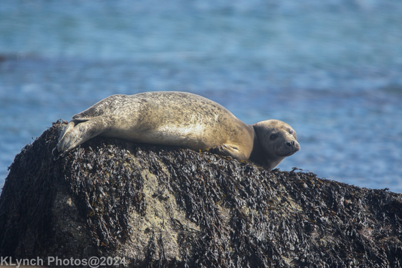 On the rocks