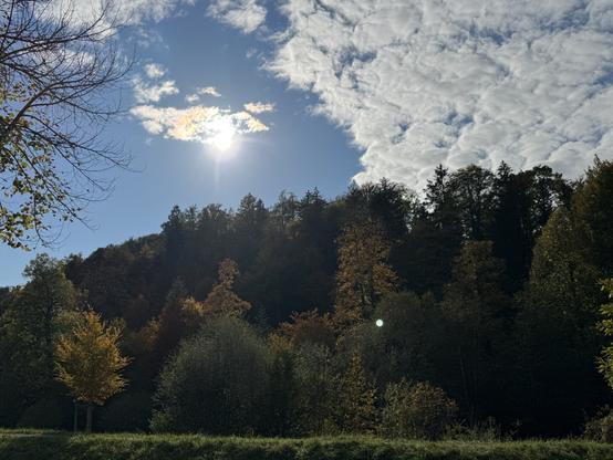 Sun is shining above a group of autumn colored trees. The right half of the sky is covered by shattered clouds.