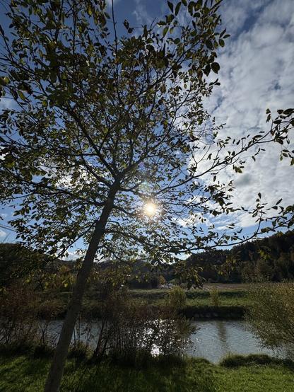 Sun is shining through the remaining leaves of an autumn colored tree and is reflected in the river below the tree.