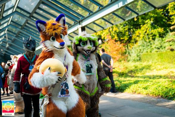 Fursuit Parade photo: Fursuiter Fox Flummox walks holding a roumd chicken plushie, behind him to the right walks sloth Gustl, after them dragon Yoasts