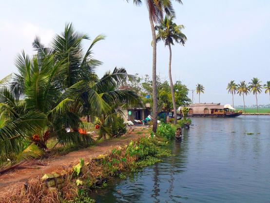 On the left is land with coconut trees and a house. In the middle, a river on which a houseboat is sailing. On the right, land with coconut trees and a rice field.

Auf der linken Seite ein Land mit Kokosnussbaeumen und einem Haus. In der Mitte ein Fluss, auf dem ein Hausboot faehrt. Auf der rechten Seite Land mit Kokosnussbaeumen und Reisfeld.