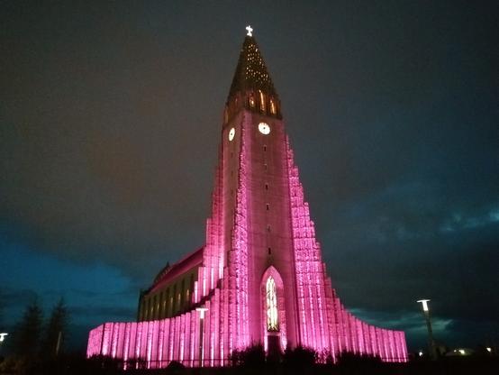 Vue générale de l'église. Tout est coloré en rose sauf les murs de la nef.