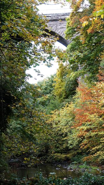 A portrait orientation picture looking towards an old railway viaduct at the top, one arch visible, above an autumnal coloured wooded/leafy valley, and a dark river at the very bottom. White sky behind.
