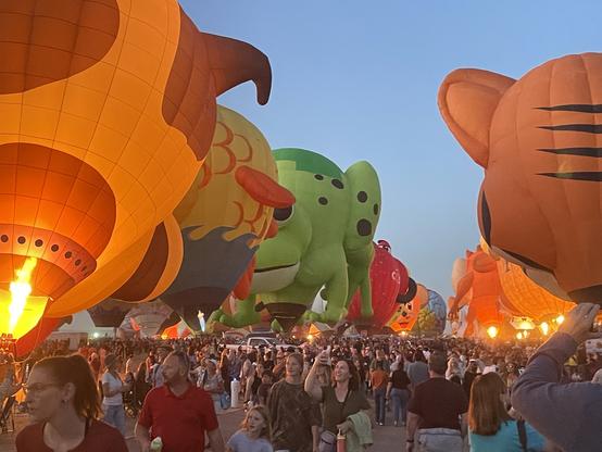 photo of a line of several hot air balloons tethered but inflated along a wide boulevard. Lots of people looking at them, taking photos. These balloons are made into special shapes that are very colorful. There's a frog, a fox facing the wrong way for the photo, and in the distance is the Taz the Tasmanian devil among other unidentifiable critters.  It's almost dusk and several of the balloons are "glowing" due to flames heating up the balloon.