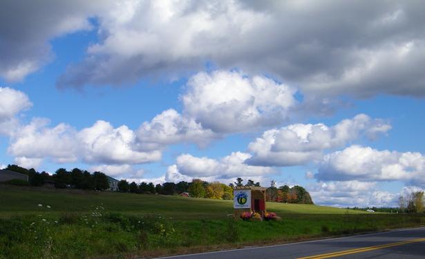 A photograph of a farm next to a road. The farm has rolling green hills, and trees and buildings in the distance. Closer to the road is a wooden structure containing bee hives, with the words, "BEE HUGGAH" and a cartoon of a bee painted on the side. The sky is blue and filled with puffy white clouds.
