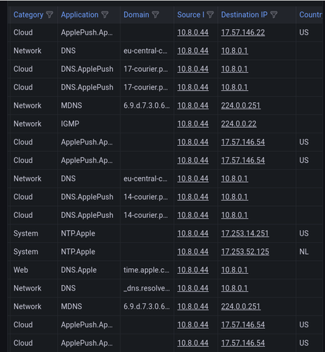 Screenshot von PiRogue, zu sehen ist eine Liste von Domains, zu denen das iPad alle 10 Minuten Kontakt aufnimmt.