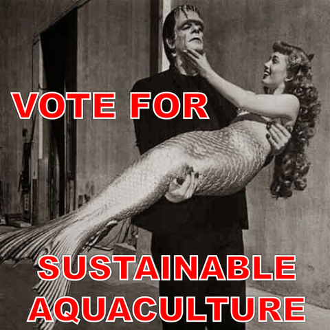 Frankenstein carrying a mermaid, meme text "Vote for sustainable aquaculture."
