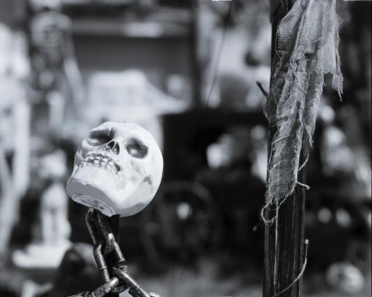 A black and white photo of a a skeleton next to a torn cloth on a flag pole