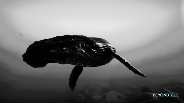 A black and white close up of a humpback whale mouth and eye.