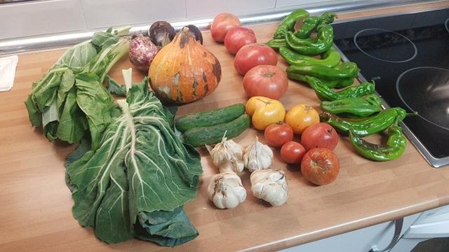 Contenido de la cesta de la semana sobre una encimera de cocina.
A la izquierda se ven u a hojas de col asa de cántaro y unas de acelgas.
Luego una hilera con u os ajos, pepinos, una calabaza y berenjenas.
Después una hilera de tomates. Y finalmente otra de pimientos.