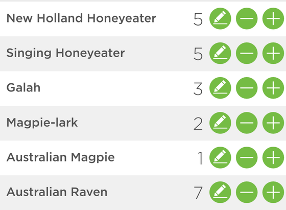 A list of birds counted for the Aussie Bird Count:
5 New Holland Honeyeater
5 singing honeyeater
3 Galah
2 Magpie-lark
1 Australian Magpie
7 Australian Raven