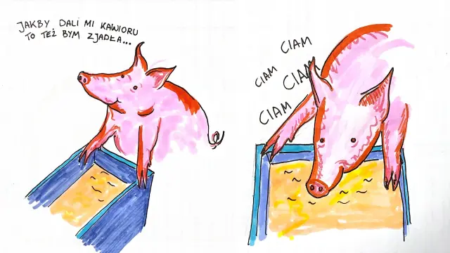 Komiks ze świnką. Na pierwszym kadrze uśmiechnięta świnka nad korytem myśli "Jakby dali mi kawioru to też bym zjadła...". Na drugim kadrze wesoła świnka rzuca się na paszę w korycie i ciama.