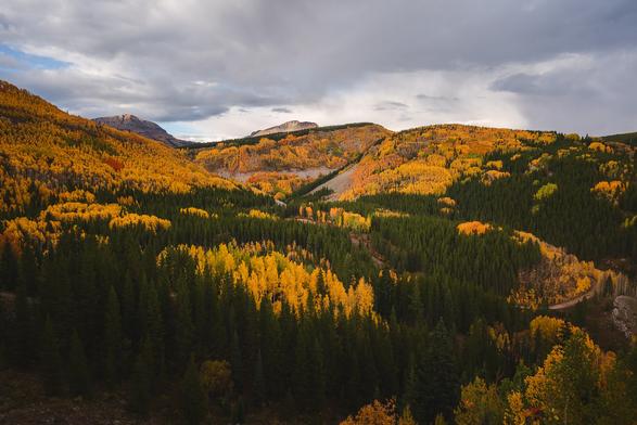 A scenic view of a mountainous landscape in autumn, featuring a dense forest with vibrant yellow and orange foliage under a cloudy sky.