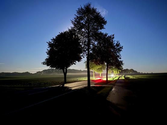 A nighttime scene featuring a tree-lined road illuminated by subtle lighting. Mist hangs in the air, and the surroundings include fields and a clear blue sky. Shadows cast by the trees create a dramatic contrast against the illuminated path.