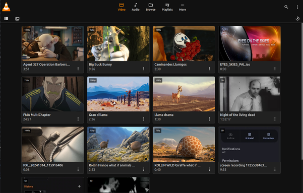 The remote access video section