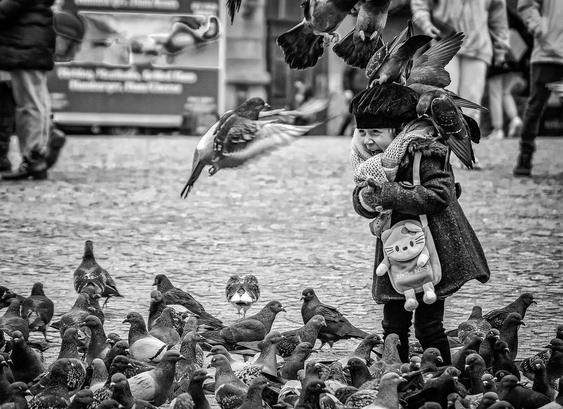 Enfant nourissant des pigeons à Amsterdam.