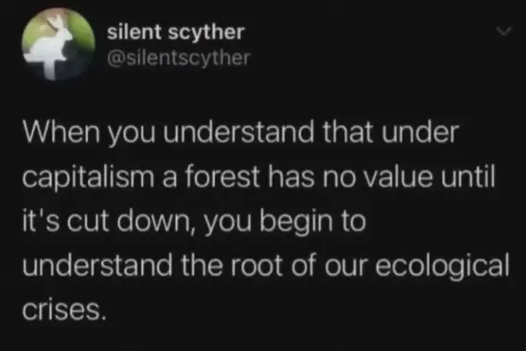 When you understand that under capitalism a forest has no value until it's cut down, you begin to understand the root of our ecological crises.